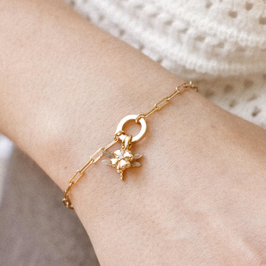 Four Leaf Clover Charm | Final Sale Lifestyle