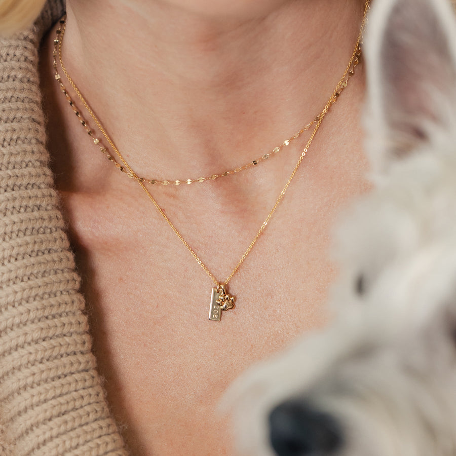 Paw Print Charm Lifestyle