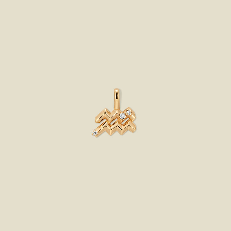 Aquarius Zodiac Charm
