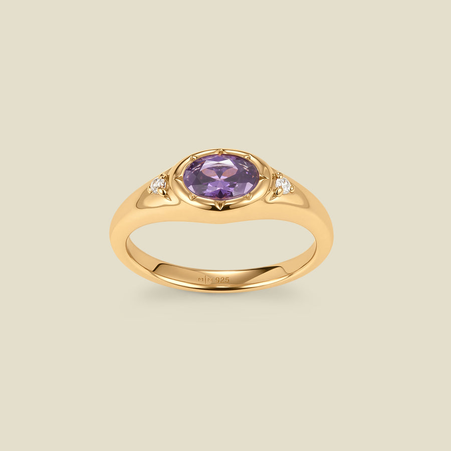 February Oval Birthstone Signet Ring