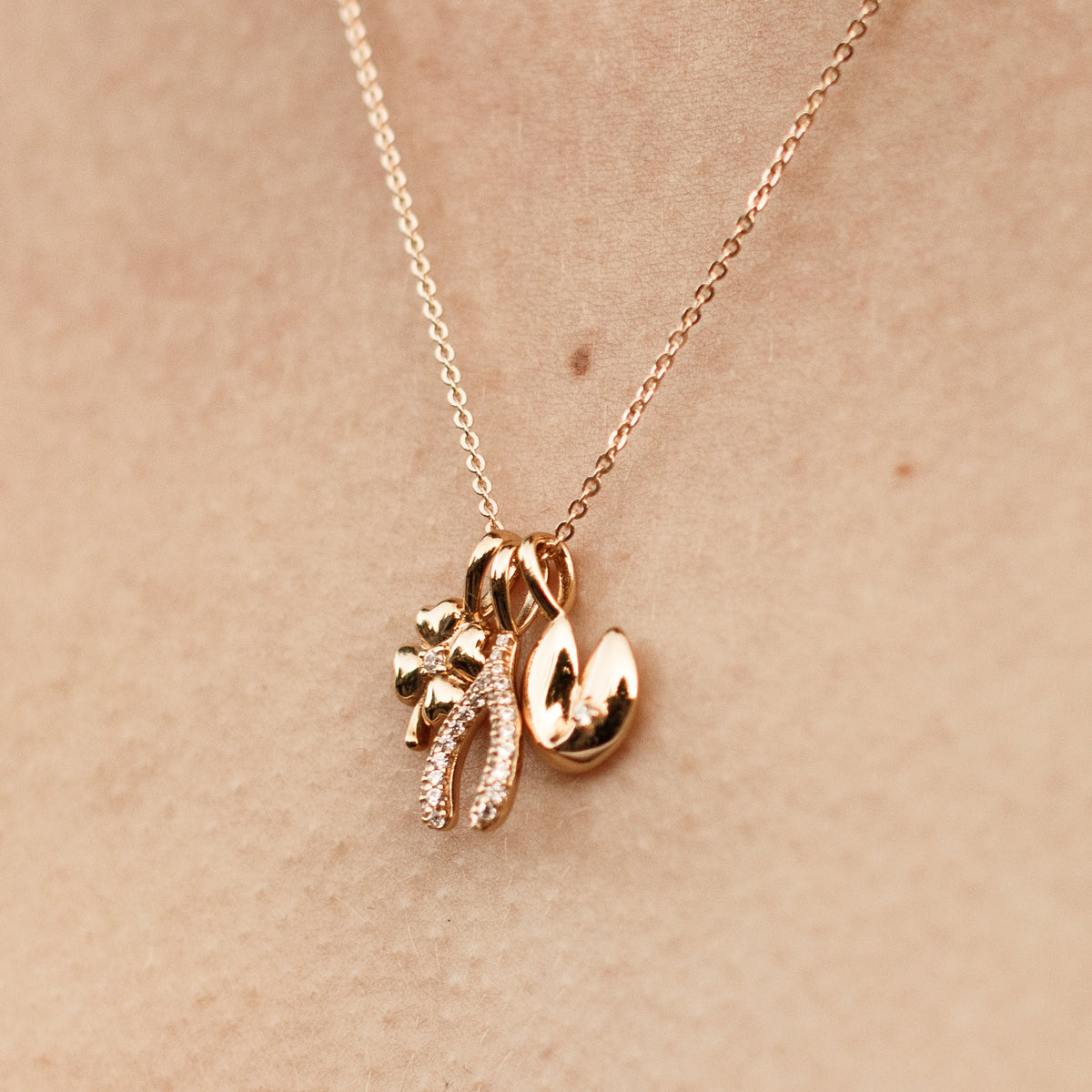 Lucky Charm Necklace