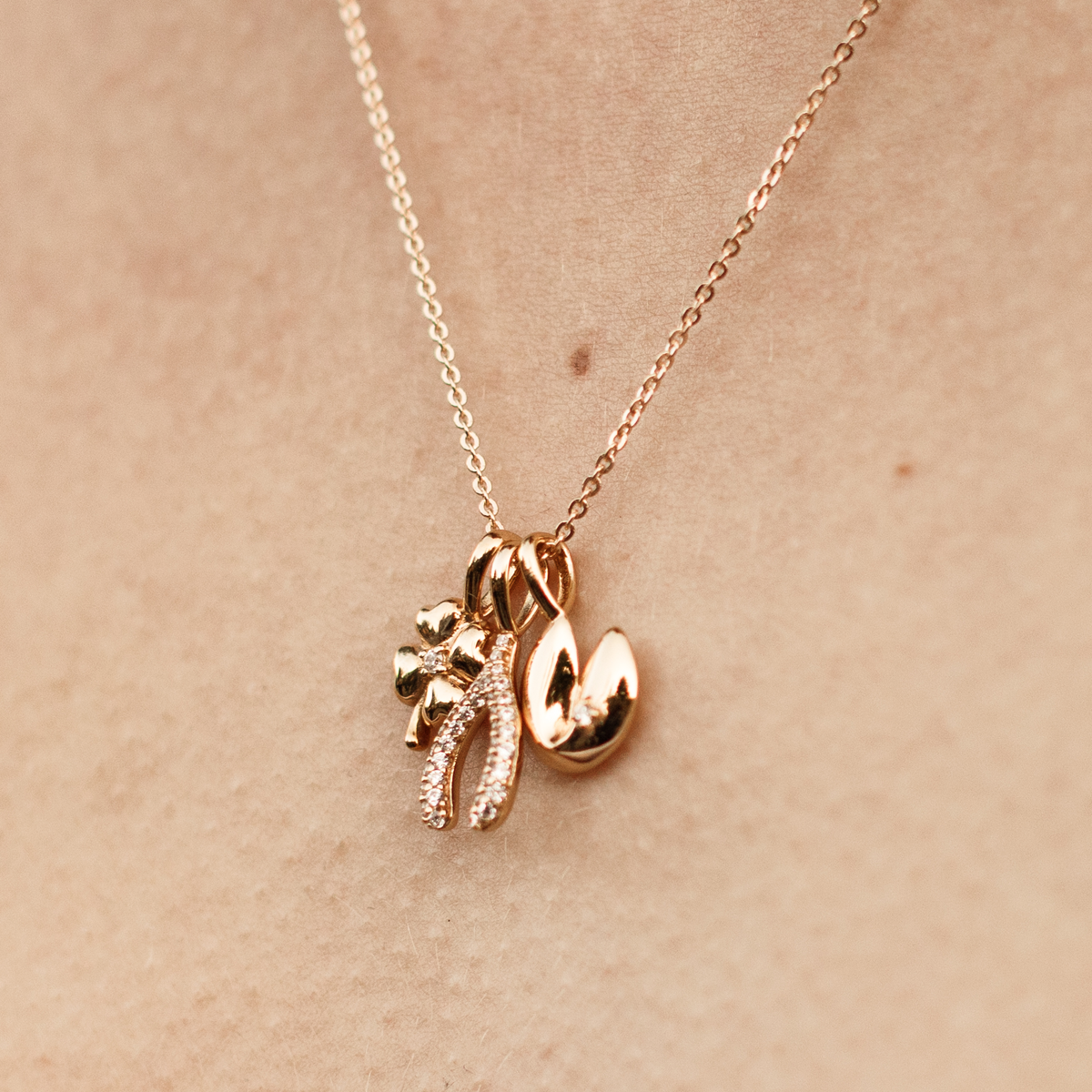Lucky Charm Necklace
