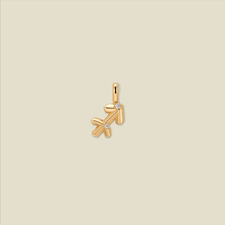 Sagittarius Zodiac Charm