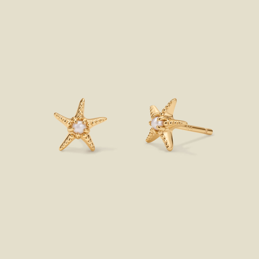 Starfish Stud Earrings