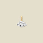 Cloud Charm