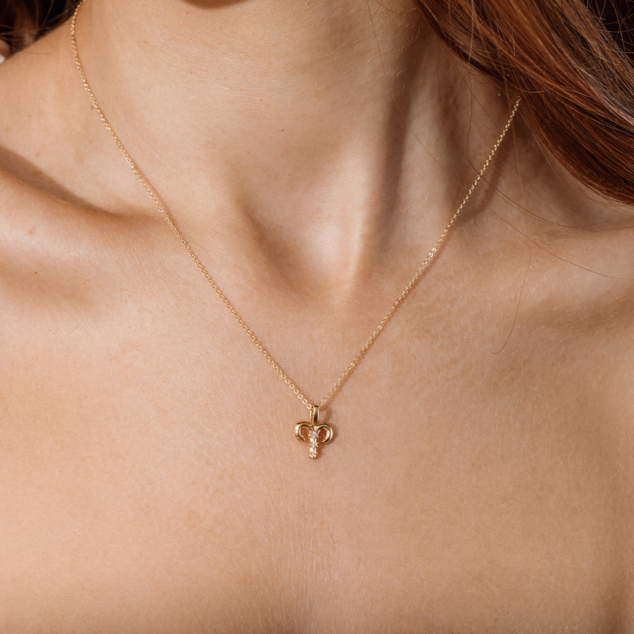 Aries Zodiac Charm Lifestyle