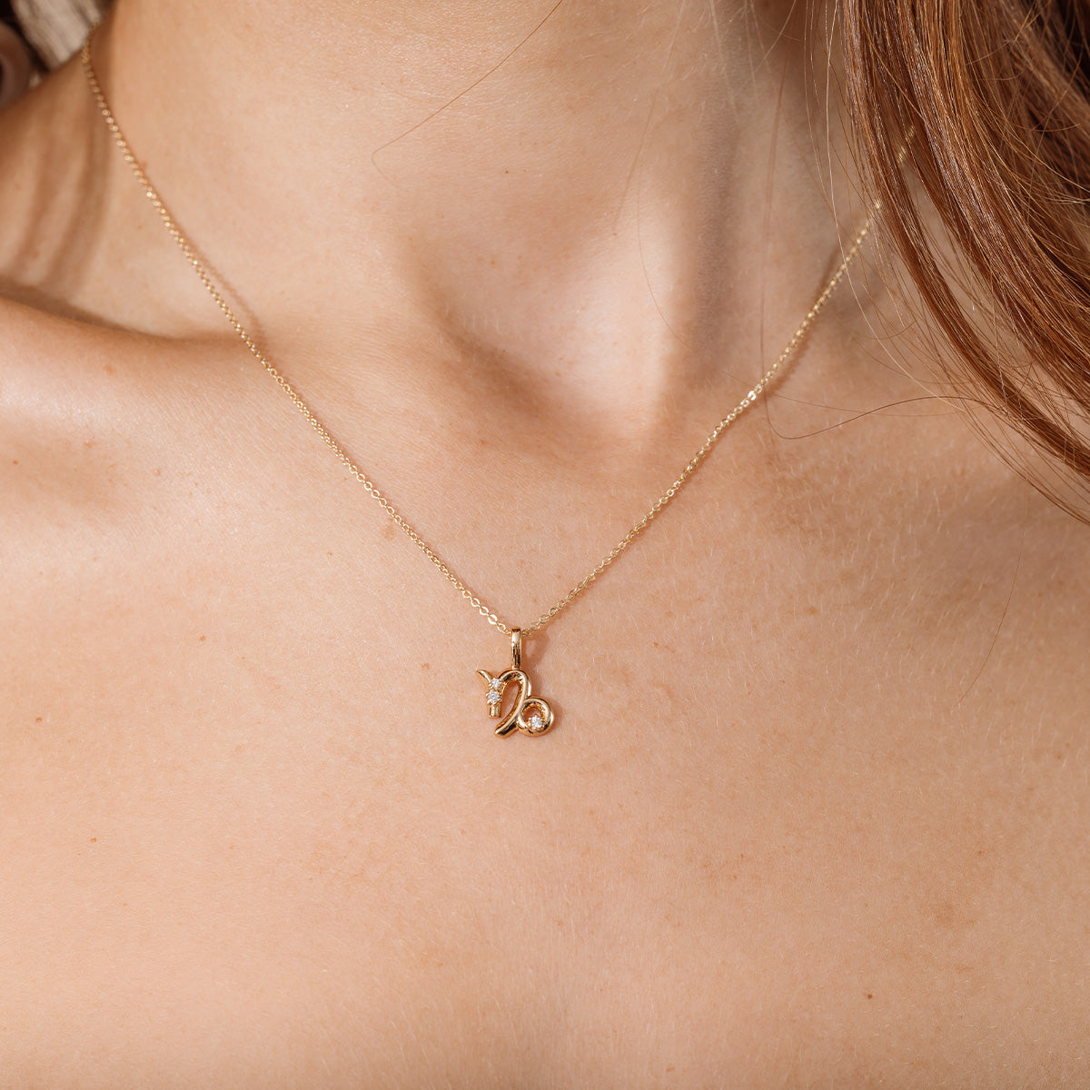 Capricorn Zodiac Charm
