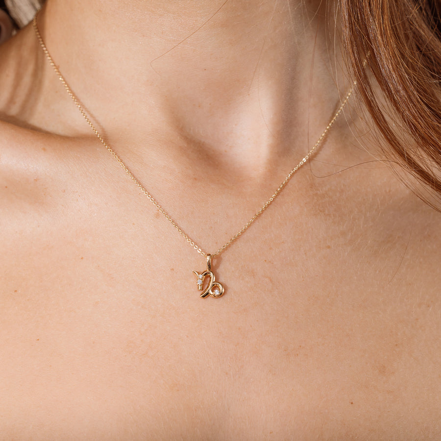 Capricorn Zodiac Charm Lifestyle