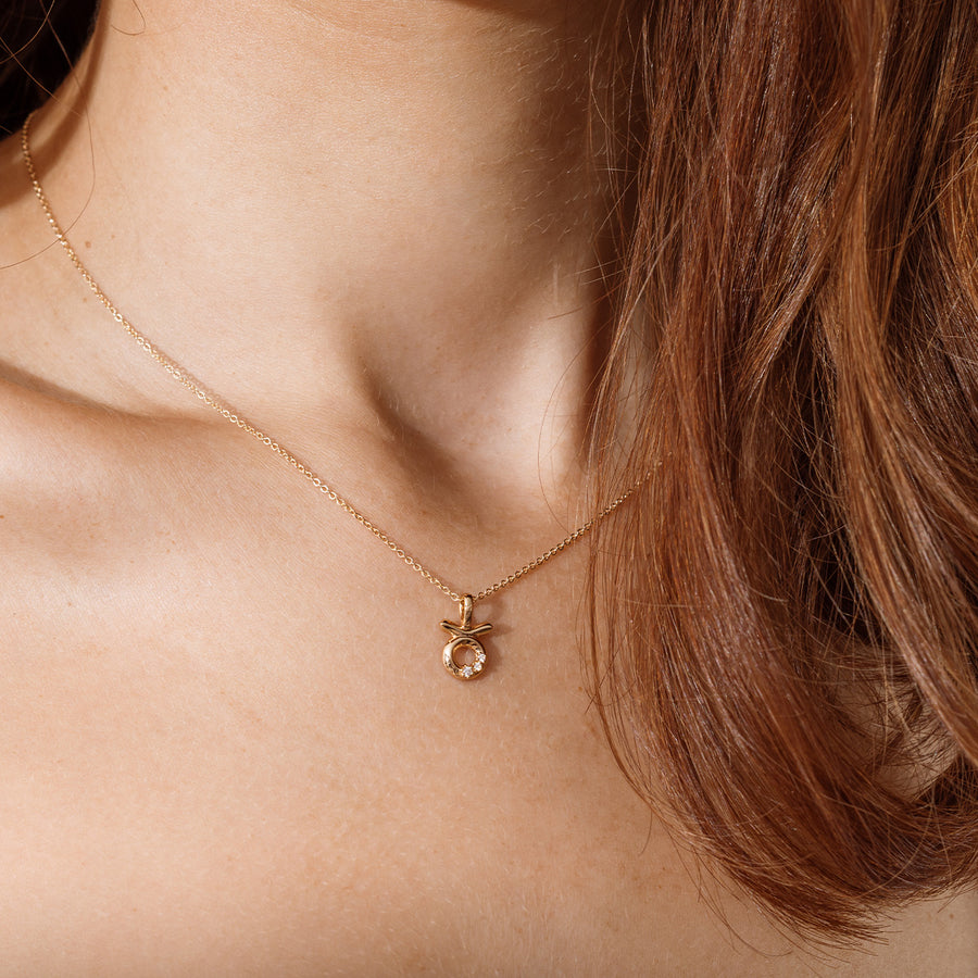 Taurus Zodiac Charm Lifestyle