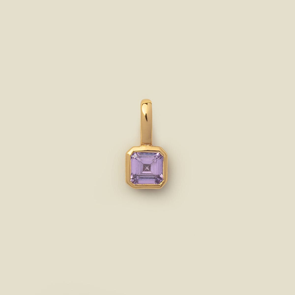 February Birthstone Charm Gold Vermeil Add Ons