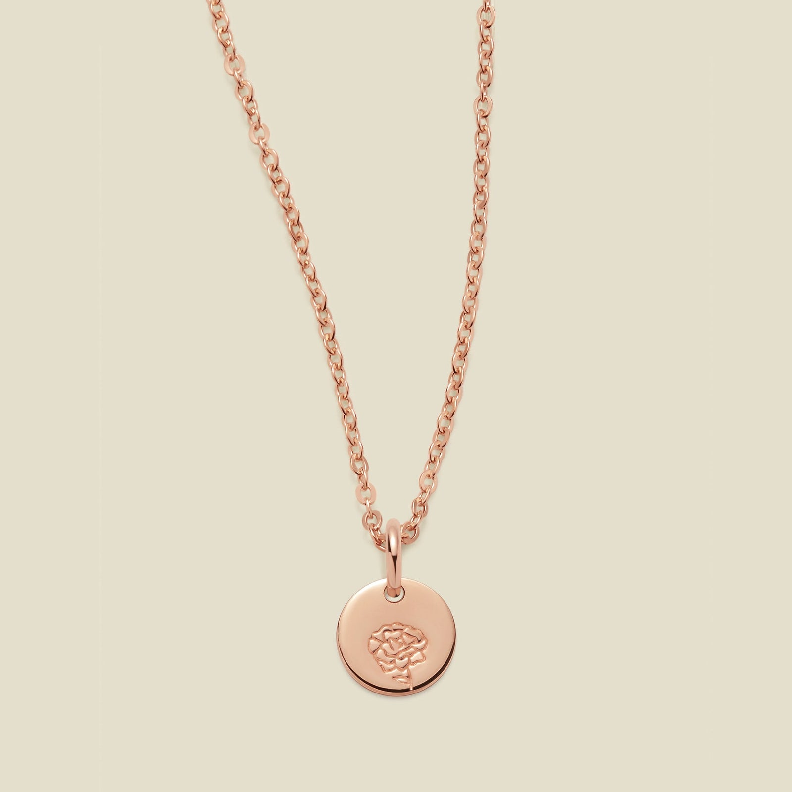 January Birth Flower Necklace Rose Gold Filled / 1/4" / 16"-18" Necklace