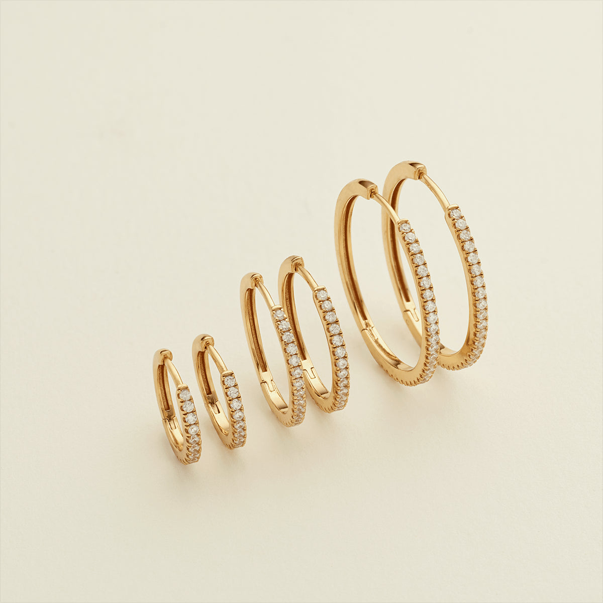 Luxe Hoop Earrings Earring