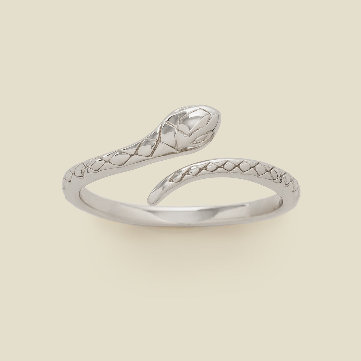 Snake Ring Silver / 5 Ring