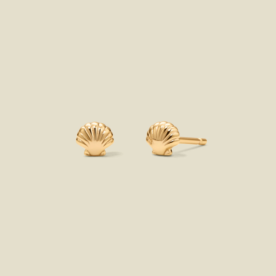 Shell Stud Earrings